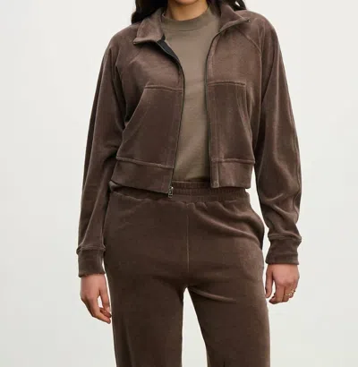 Velvet By Graham & Spencer Claire Zip Up Top In Chocolate In Gold