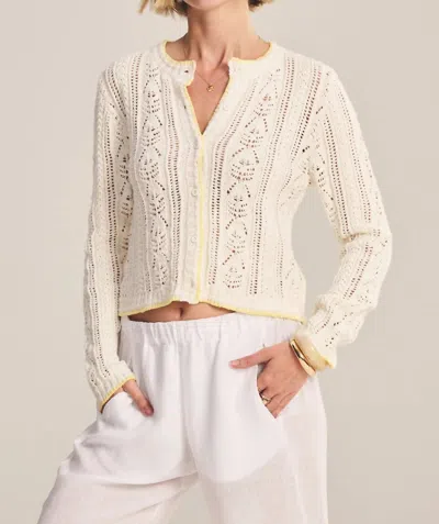 Velvet By Graham & Spencer Daisy Pointelle Cardigan In Ivory In Neutral