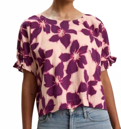Velvet By Graham & Spencer Delilah Floral Top In Berry In Multi