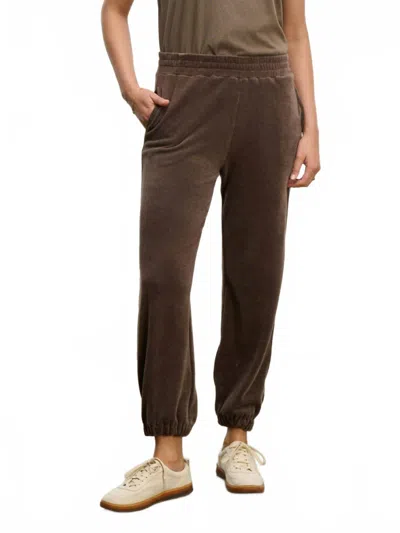 Velvet By Graham & Spencer Essie Pant In Chocolate In Brown