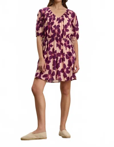 Velvet By Graham & Spencer Hazel Mini Dress In Berry In Pink