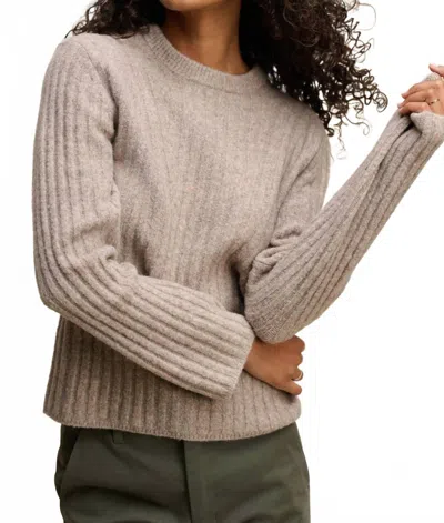 Velvet By Graham & Spencer Imana Cozy Knit Sweater In Tan In Gray
