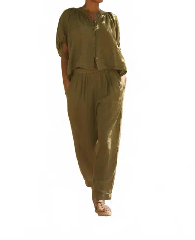 Velvet By Graham & Spencer Lola Pull On Linen Pants - Plus In Sap In Multi