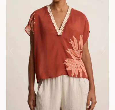 Velvet By Graham & Spencer Naomi Top In Cedar In Brown