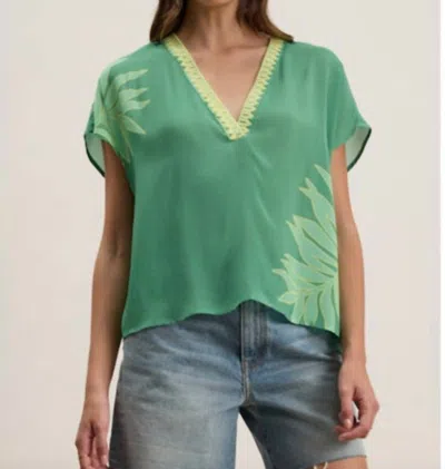Velvet By Graham & Spencer Naomi Top In Green