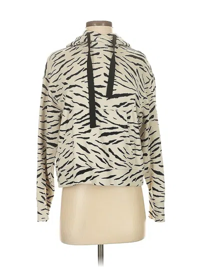 Pre-owned Velvet By Graham & Spencer Pullover Sweater In White