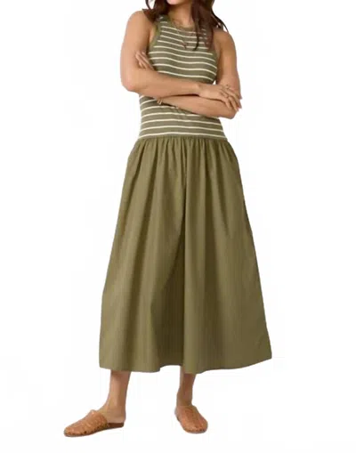 Velvet By Graham & Spencer Romina Tank Dress In Kale Green