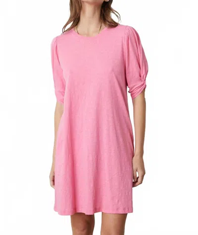 Velvet By Graham & Spencer Sara Dress In Pop In Pink