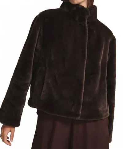 Velvet By Graham & Spencer Sheena Faux Fur Jacket In Espresso In Black