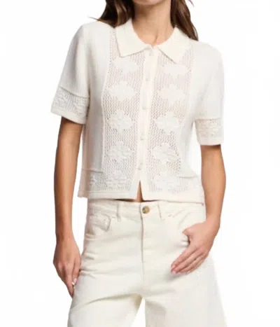 Velvet By Graham & Spencer Women's Rosemond Cardigan Sweater In Milk In White