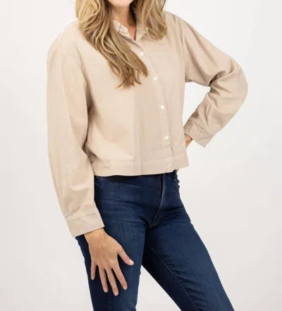 Velvet By Graham & Spencer Joelle Crop Button Up Top In Ancient