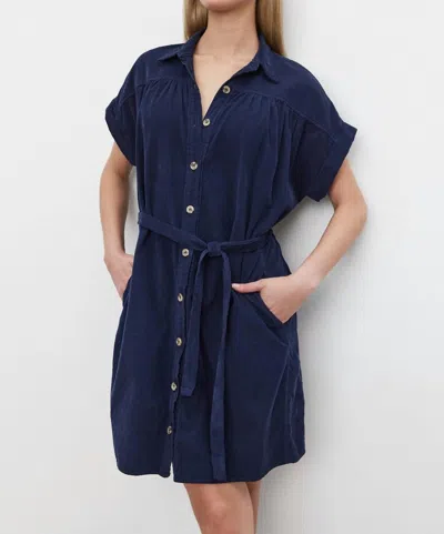 Velvet By Graham & Spencer Macie Dress In Night