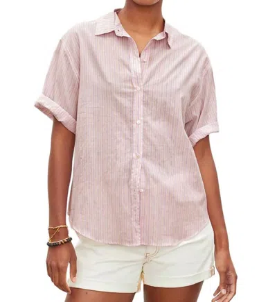 Velvet By Graham & Spencer Mika Cotton Short Sleeve Shirt In Pink Stripe