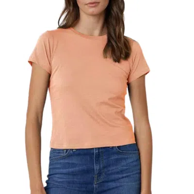 Velvet By Graham & Spencer Nina Cropped Crew Neck Tee In Flare In Multi