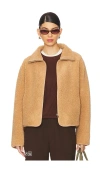 Velvet By Graham & Spencer Reba Sherpa Jacket In 탠