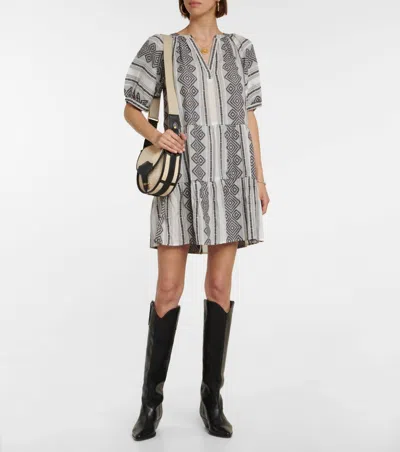 Velvet By Graham & Spencer Sophie Dress In Black