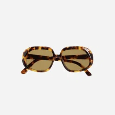 Velvet Canyon Sunglasses "inheritances" Scales In Brown