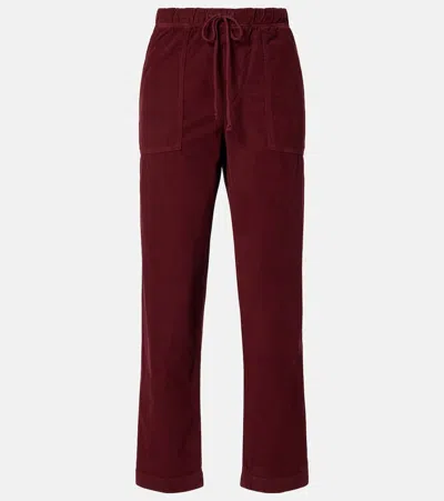 Velvet Cotton Corduroy Pants In Burgundy