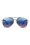 Velvet Eyewear Bonnie Sunglasses In Gold Blue