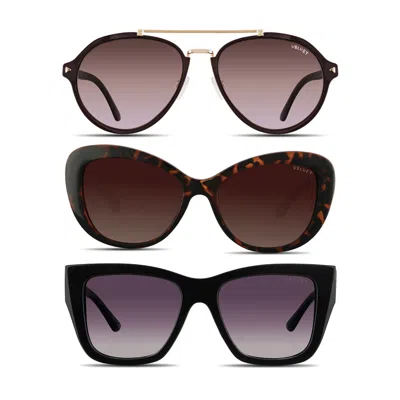 Velvet Eyewear Women's Black / Brown  Oval Face Shape Sunglass Style Box