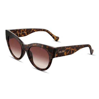 Velvet Eyewear Women's Black / Pink / Brown Square Face Shape Sunglass Style Box