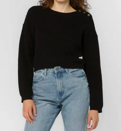 Velvet Heart Carla Knit Sweater In Black