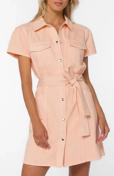 Velvet Heart Fonda Belted Utility Shirtdress In Pink