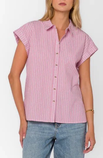 Velvet Heart Ilene Cotton Button-up Shirt In Cosmic Pink Stripe