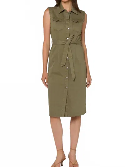 Velvet Heart Karsyn Dress In Oregano In Green