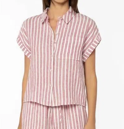 Velvet Heart Kirsty Blouse In Pink Stripe