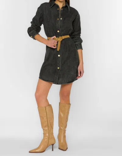 Velvet Heart Leena Dress In Faded Black