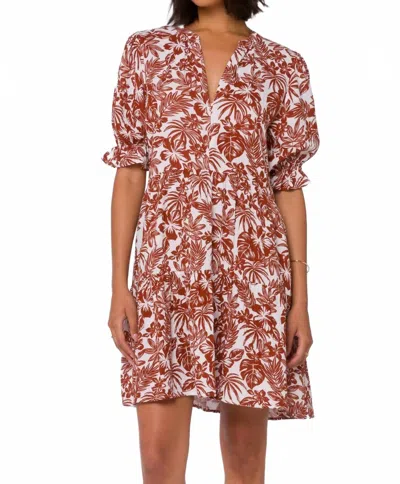 Velvet Heart Marscina Mini Dress In Multi In Brown