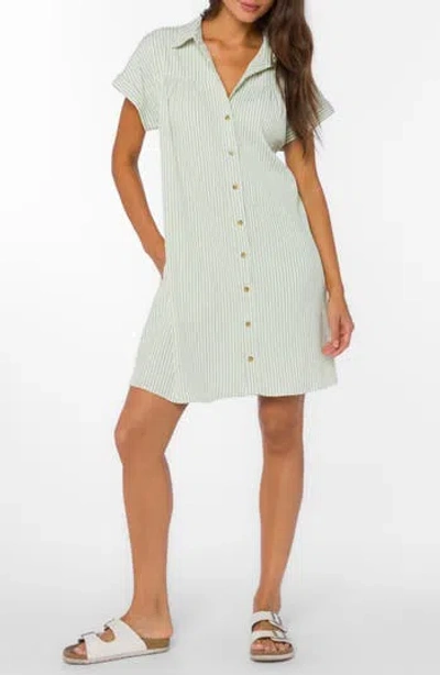 Velvet Heart Stripe Short Sleeve Seersucker Mini Shirtdress In White