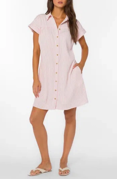 Velvet Heart Stripe Short Sleeve Seersucker Mini Shirtdress In Pink