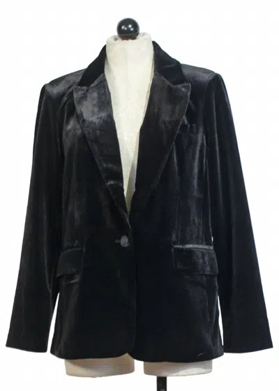 Velvet Heart Women's Lizzy Single Button Velvet Blazer In Black