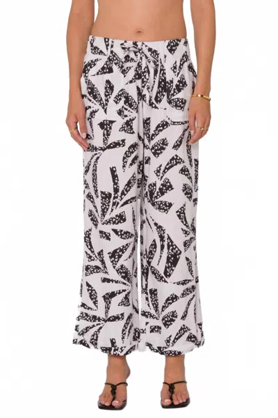 Velvet Heart Women's Pace Pant In Black/white