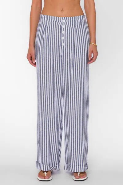 Velvet Heart Women's Roelle Pant In Ink Stripe In Multi