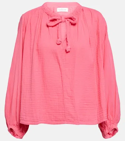 Velvet Kathleen Cotton Gauze Top In Pink
