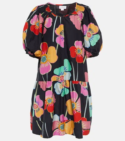 Velvet Rachel Floral Printed Mini Dress In Black Floral