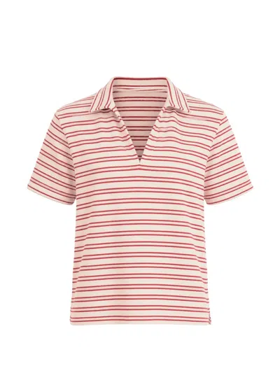Velvet Stripe-pattern Polo Top In Pink