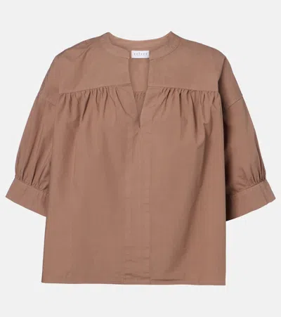 Velvet Yuna Cotton Top In Brown