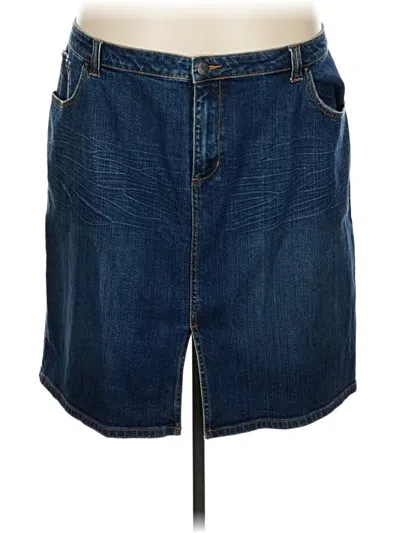 Pre-owned Venezia Denim Skirt In Blue