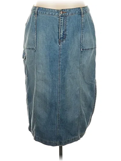 Pre-owned Venezia Denim Skirt In Blue