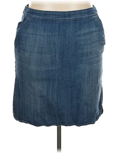 Pre-owned Venezia Denim Skirt In Blue