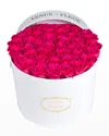 Venus Et Fleur Classic Large Round Rose Box In Hot Pink