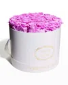 Venus Et Fleur Classic Large Round Rose Box In Purple