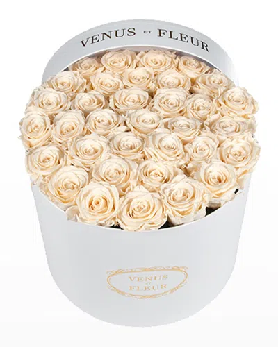 Venus Et Fleur Classic Large Round Rose Box In Pearl