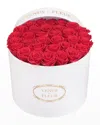 Venus Et Fleur Classic Large Round Rose Box In Red