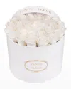 Venus Et Fleur Classic Large Round Rose Box In White