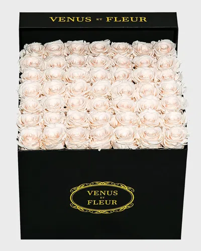 Venus Et Fleur Classic Large Square Rose Box In Neutral